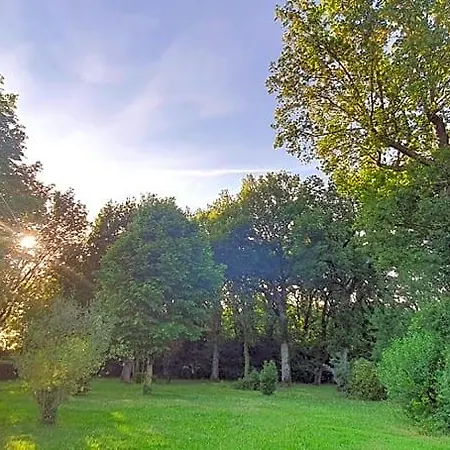 Le Pied Du Chene